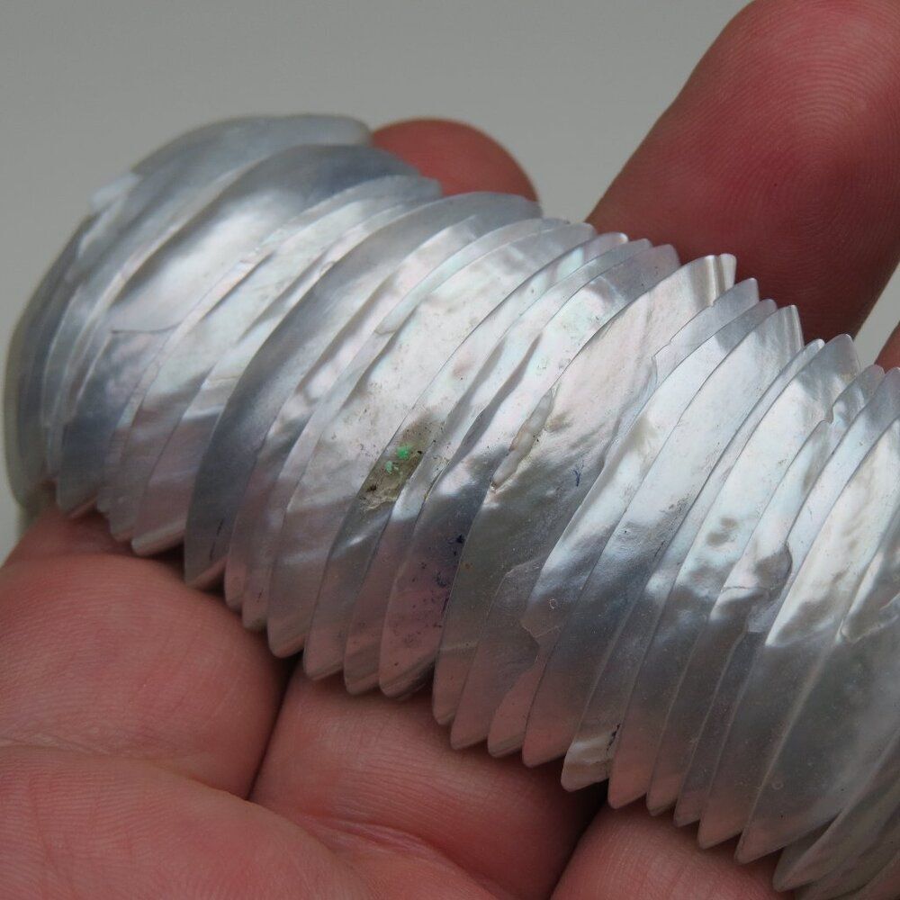 Shell Fish Bracelets